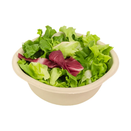 Biodegradable Bagasse Round Disposable Bowl 180Ml - Image 3