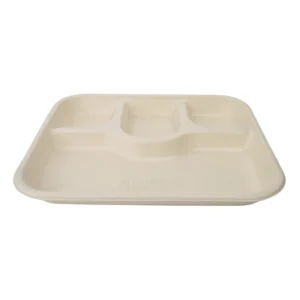Biodegradable Bagasse Disposable 4 CP Plat