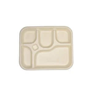 Biodegradable Bagasse Disposable 5 CP Serving Plate