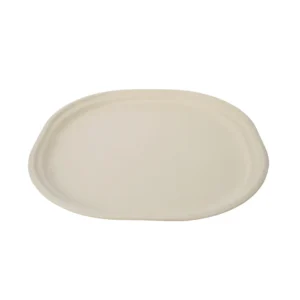 Biodegradable Bagasse Round Disposable Plate 6 inch