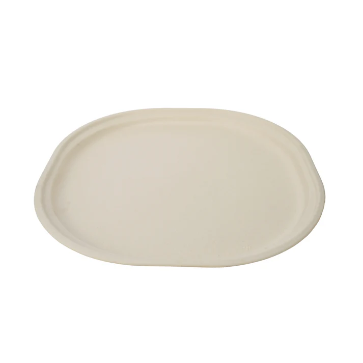 Biodegradable Bagasse Round Disposable Plate 6 inch