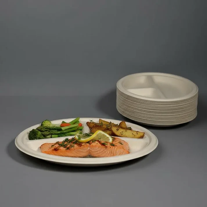Bagasse Round Disposable 3 CP Plate 10 inch - Image 3